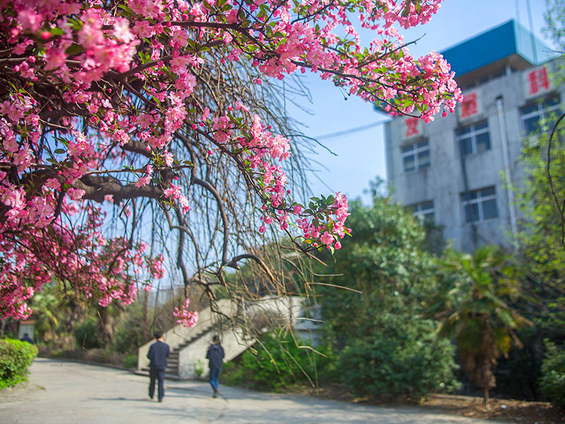 河鋼舞鋼的發(fā)展歷程 河鋼舞鋼的發(fā)展歷程